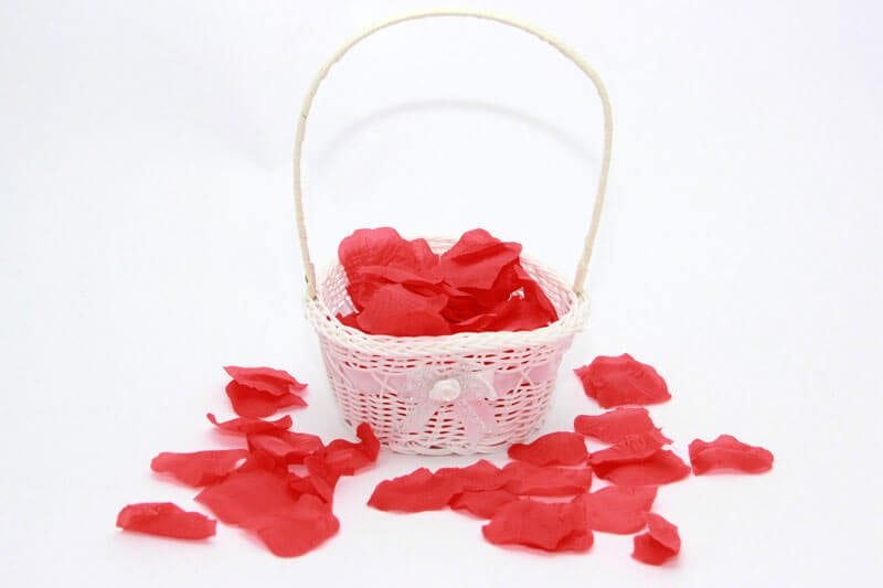 סלסלה לשושבינה