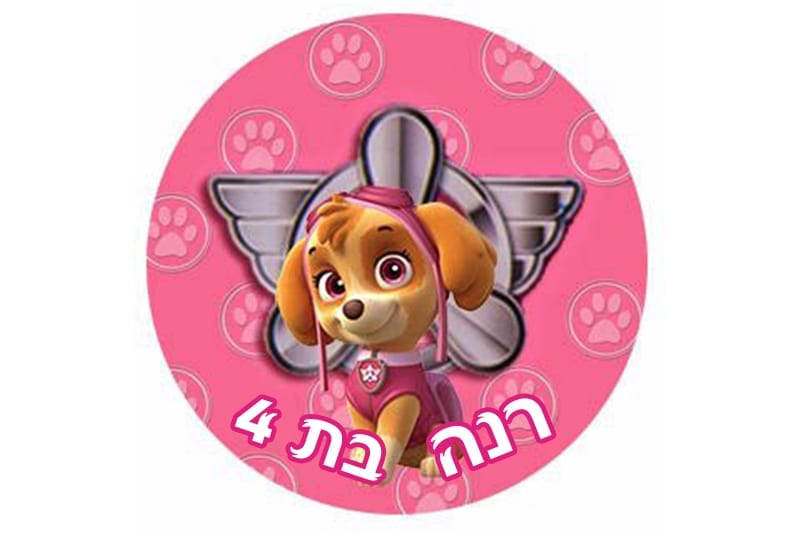 מדבקות ליום הולדת